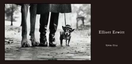 Elliott Erwitt 写真展