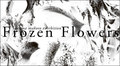 東信「Frozen Flowers」展