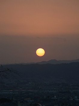 関口 正浩　