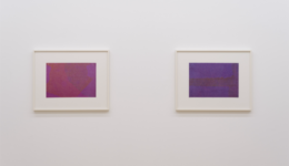 annetruitt_191130_01