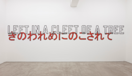 lawrenceweiner_180113_01