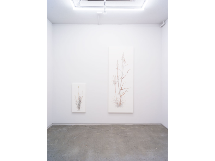 須藤由希子　Late Autumn Weeds Exhibition　2019