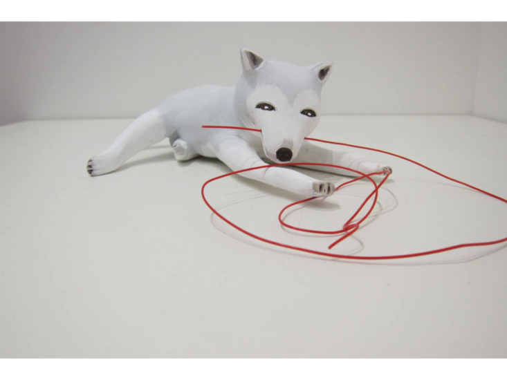 Akira The Hustler　Red String "Dog 2"　2012