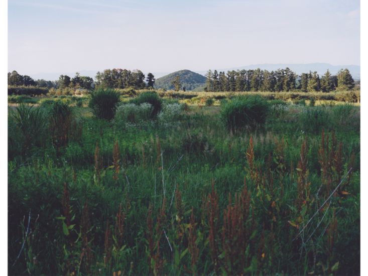 津田直　Grassland Tears "Omoriyama #1"　2016